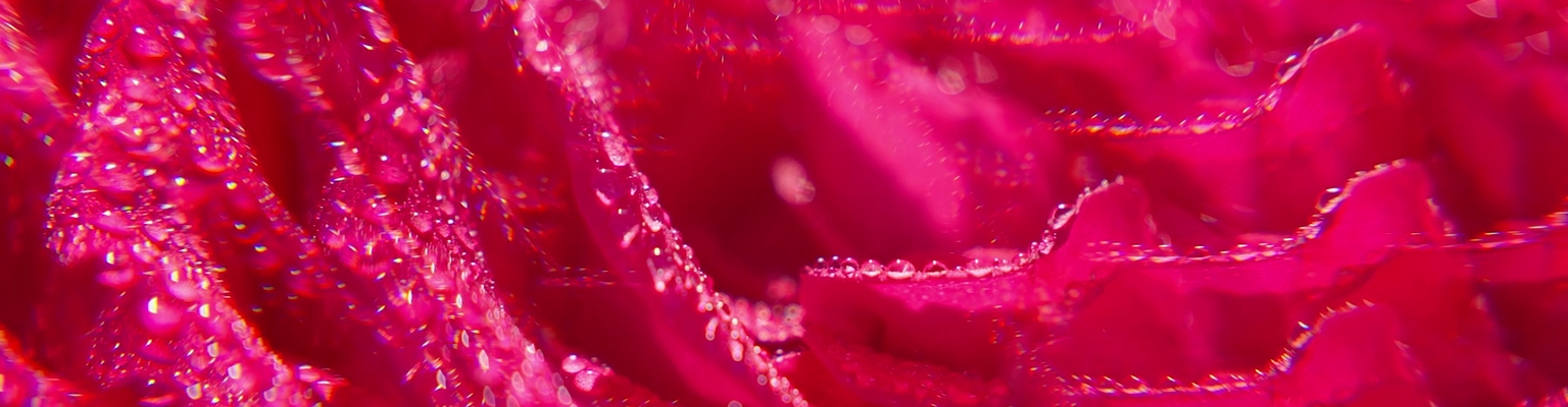 Gel Doccia di Benessere