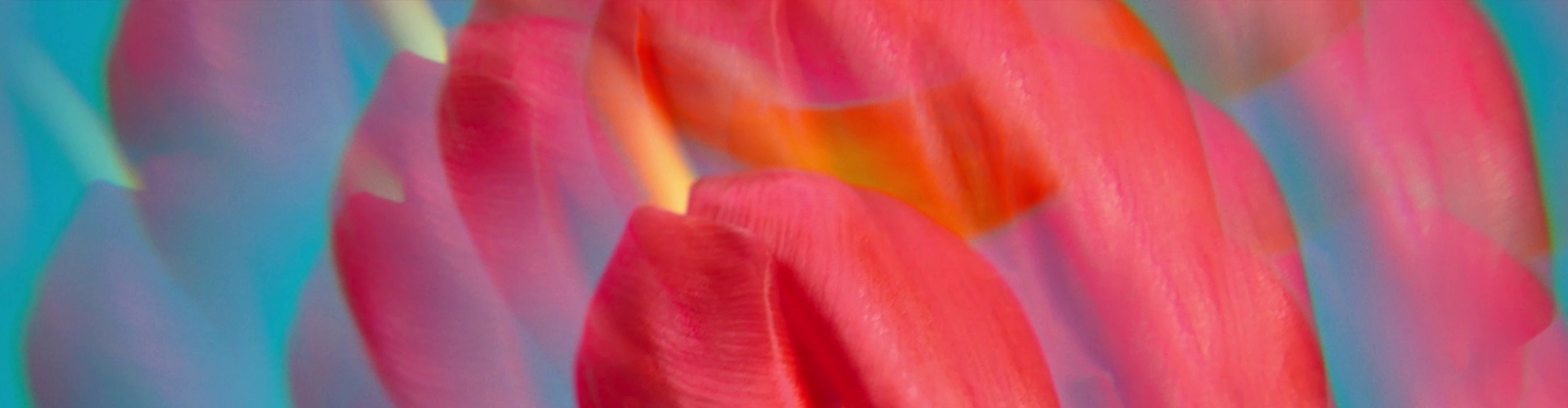 Corpo, Mani e Labbra