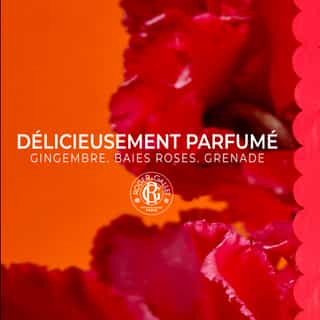 Gingembre Rouge Latte Corpo di Benessere