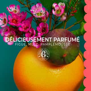 Fleur de Figuier Latte Corpo di Benessere