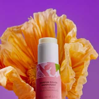 Fleur de Figuier Profumo Solido di Benessere