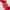 Gingembre Rouge Gel Doccia di Benessere