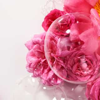 Rose Gel Doccia di Benessere