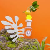 Bois d'Orange Acqua Profumata di Benessere