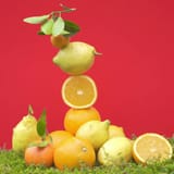 Cédrat Acqua Profumata di Benessere