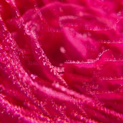 Rose Gel Doccia di Benessere