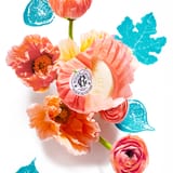 Fleur de Figuier Set di Saponette di Benessere 3x
