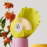 Fleur d'Osmanthus Saponetta di Benessere