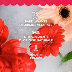 Gingembre Rouge Saponetta di Benessere