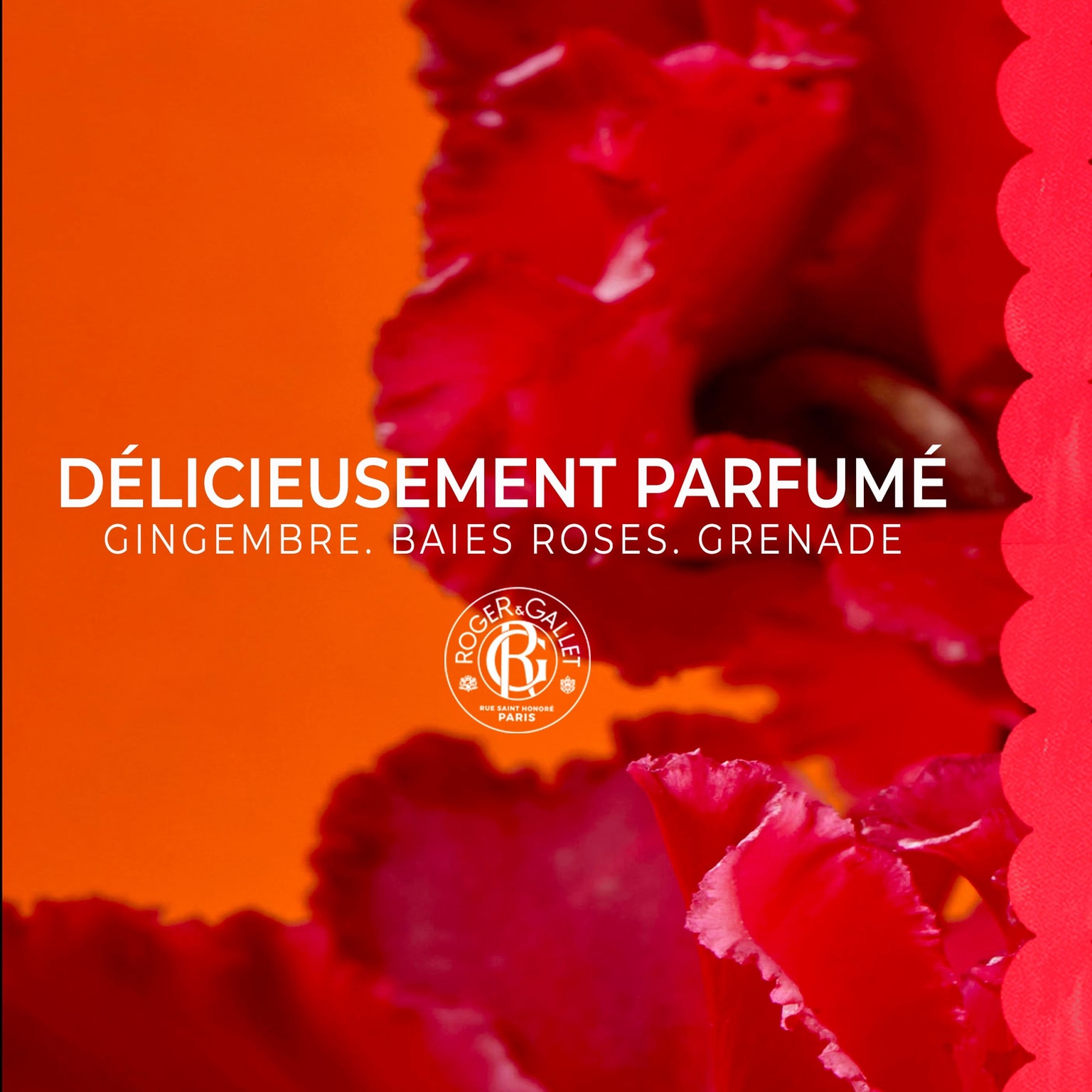 Gingembre Rouge Latte Corpo di Benessere
