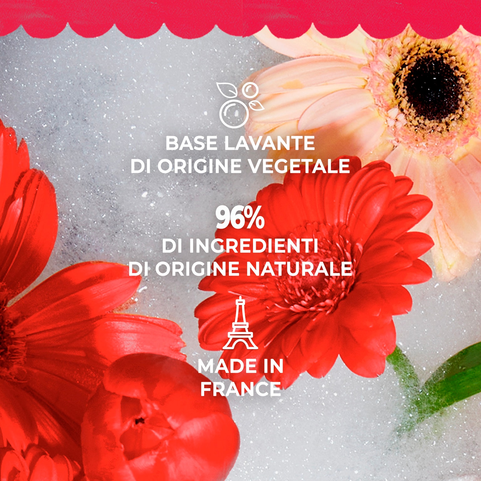 Gingembre Rouge Saponetta di Benessere