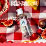 Fleur de Figuier Latte Corpo di Benessere