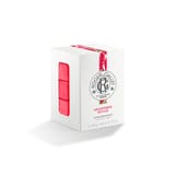 Gingembre Rouge Set di Saponette di Benessere
