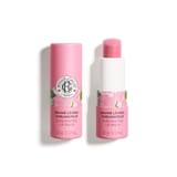 Rose Balsamo Labbra Sublimante