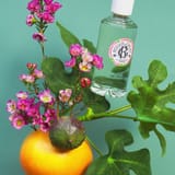 Fleur de Figuier Acqua Profumata di Benessere