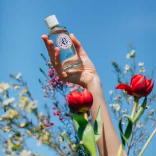 Fleur de Figuier Acqua Profumata di Benessere